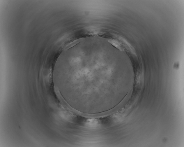 X0000096170376200802011324