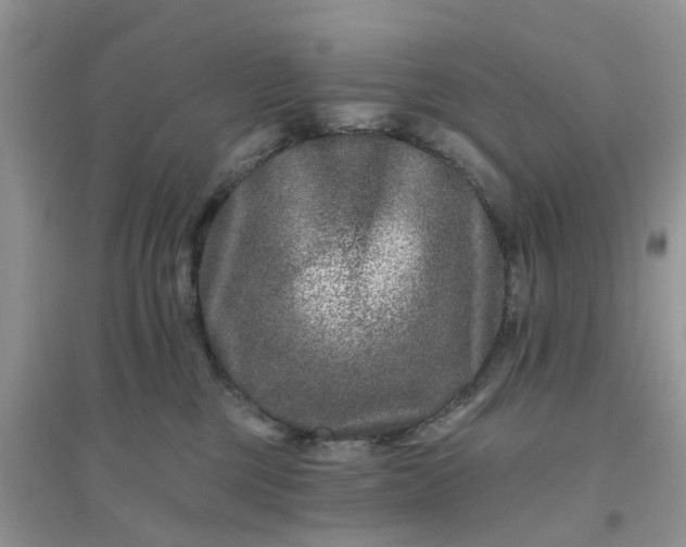 X0000096170377200802011324