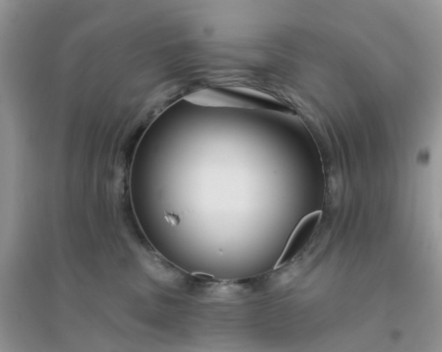 X0000096170379200802011324