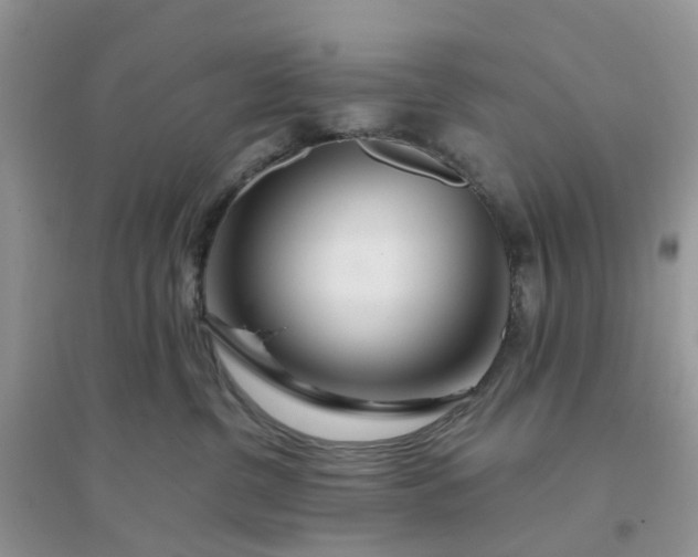 X0000096170380200802011324