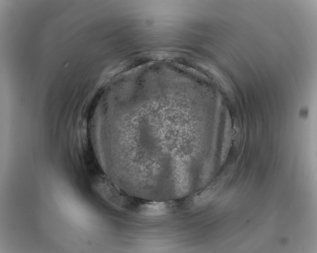 X0000096170381200802011324