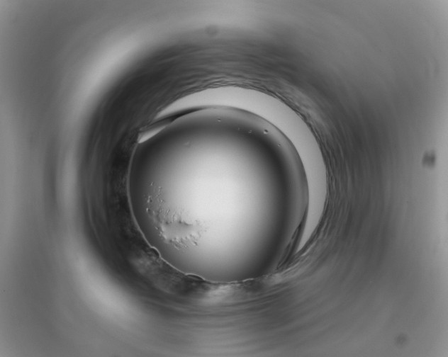 X0000096170382200802011324