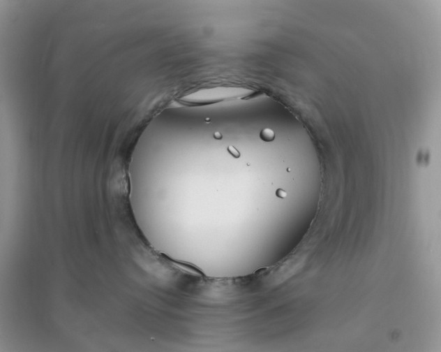 X0000096170384200802011324