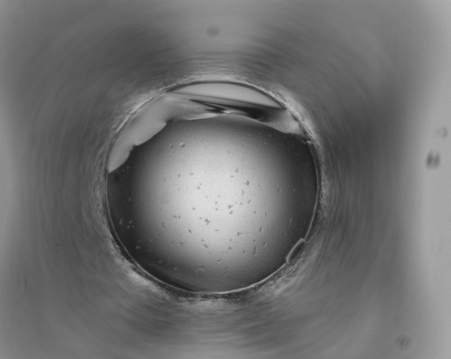 X0000096170385200802011323