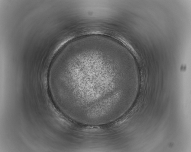 X0000096170386200802011323