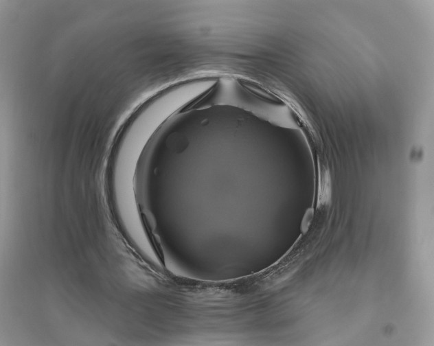 X0000096170387200802011323