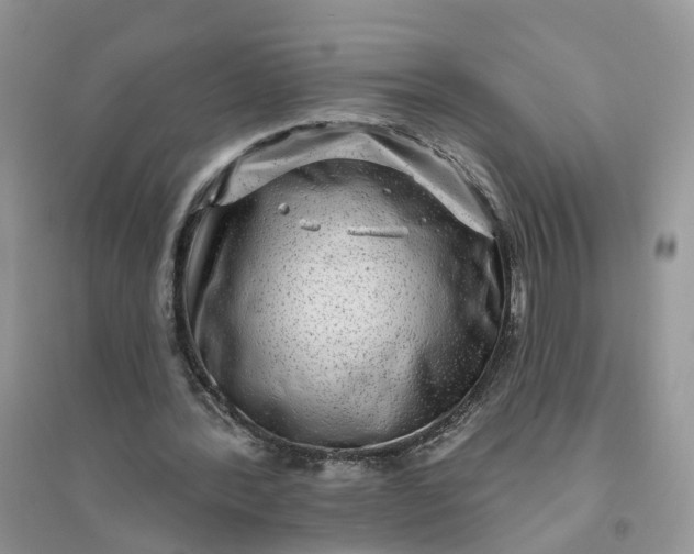 X0000096170388200802011323