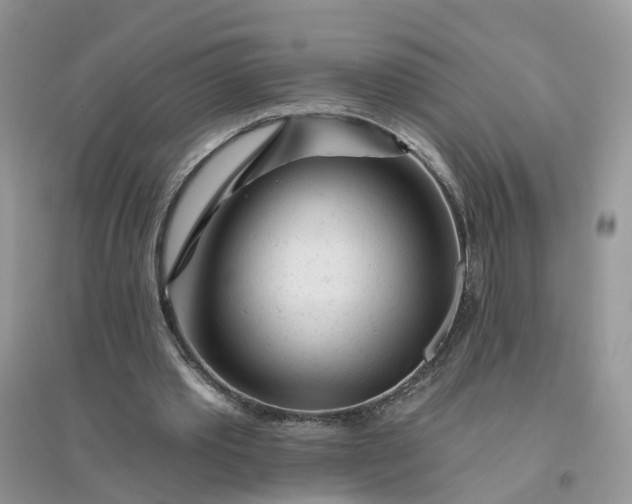 X0000096170389200802011323