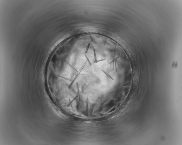 X0000096170390200802011323