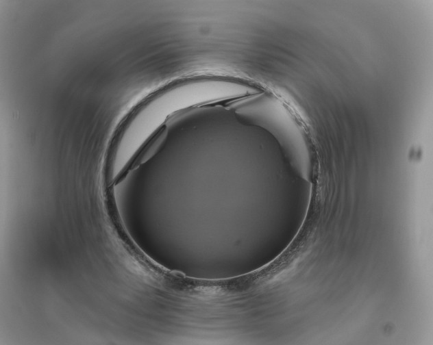 X0000096170391200802011323