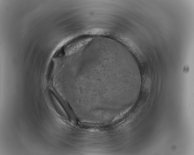 X0000096170392200802011323