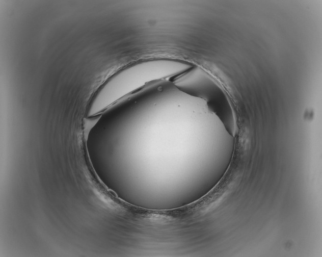 X0000096170393200802011323