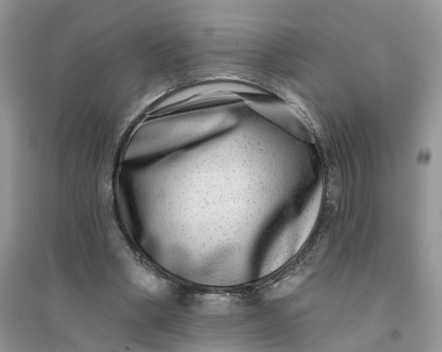 X0000096170394200802011323