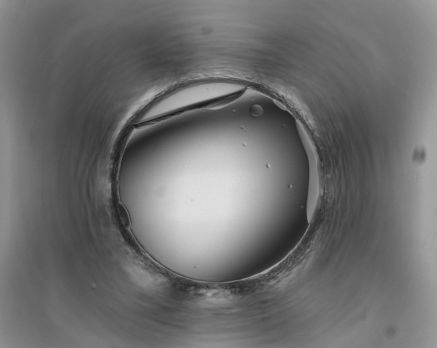 X0000096170395200802011323