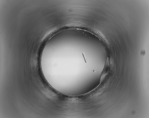 X0000096170396200802011323