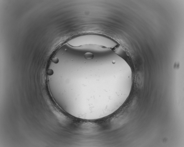 X0000096170397200802011323