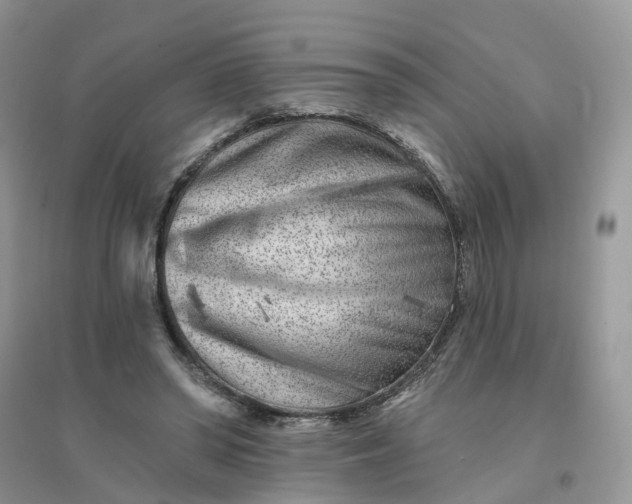 X0000096170398200802011323