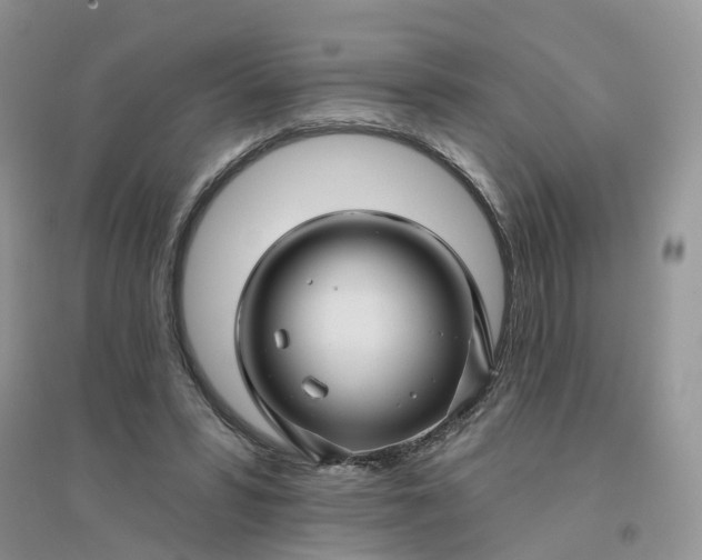 X0000096170399200802011323