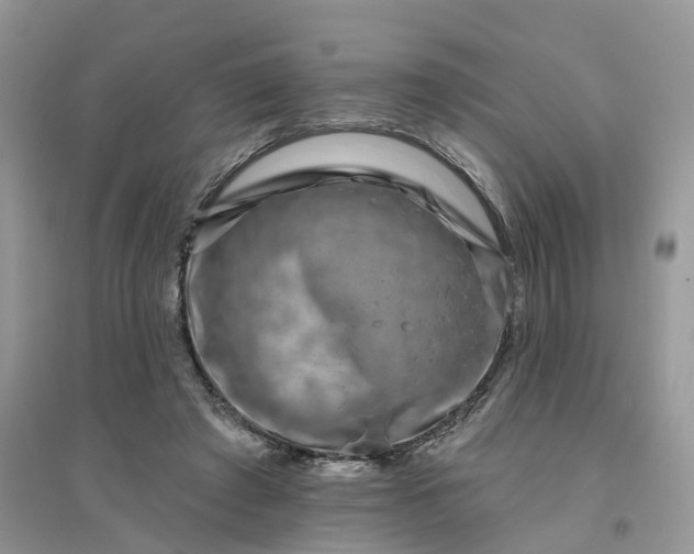 X0000096170401200802011323