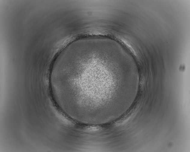 X0000096170402200802011323