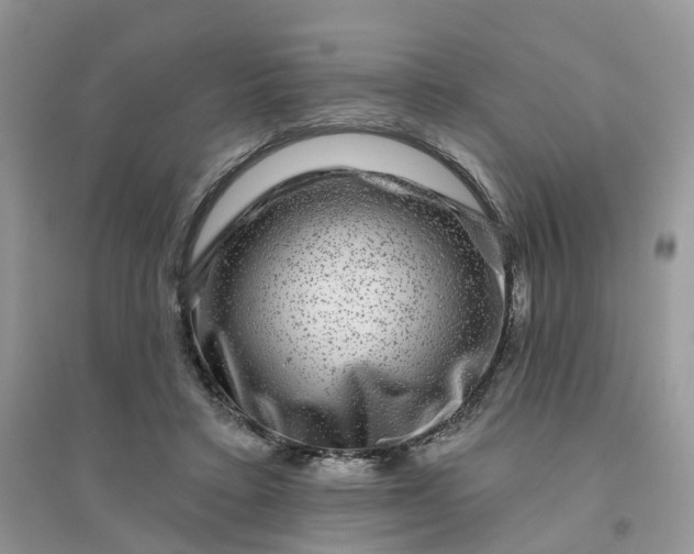 X0000096170403200802011323