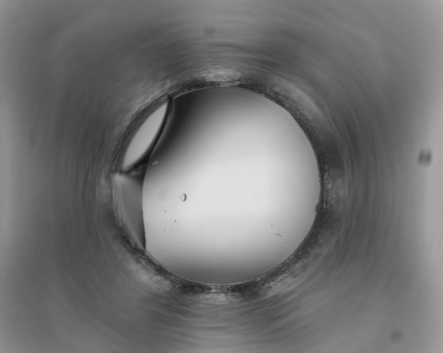 X0000096170404200802011323