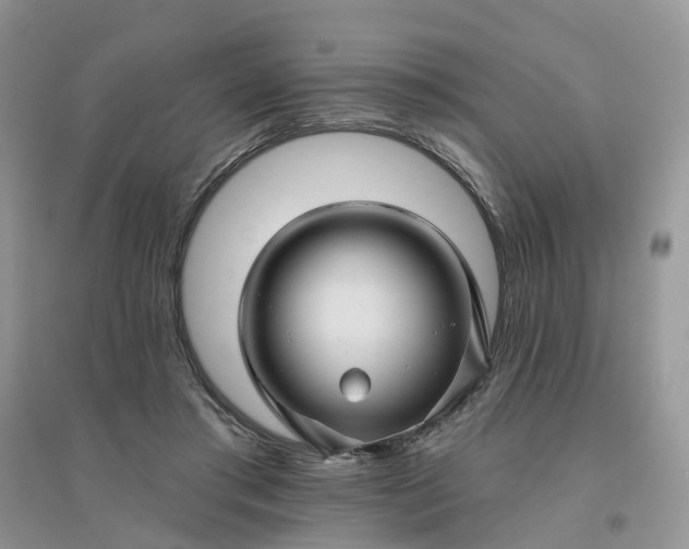 X0000096170405200802011323