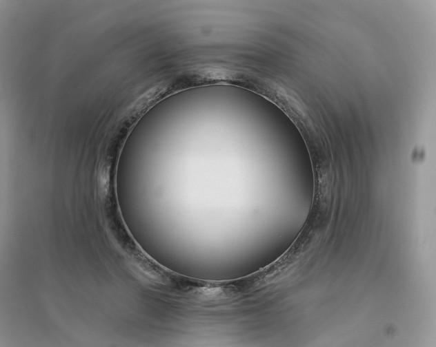 X0000096170406200802011323