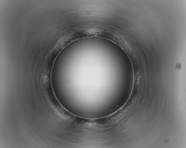 X0000096170408200802011323