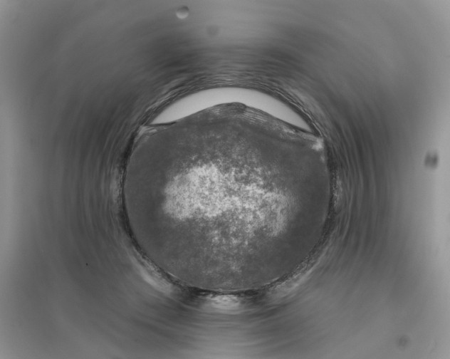 X0000096170409200802011323