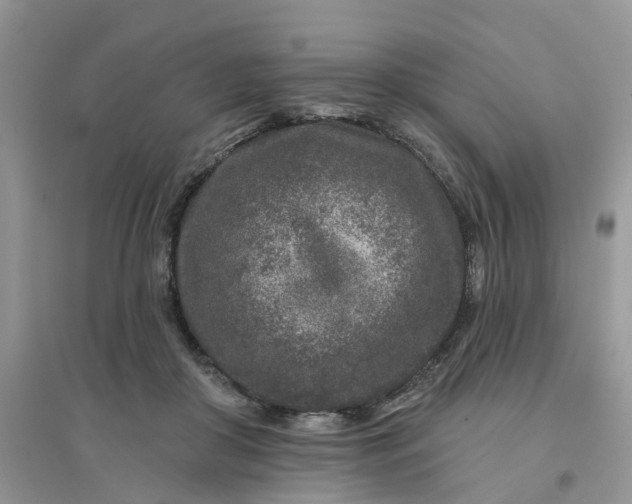 X0000096170410200802011323