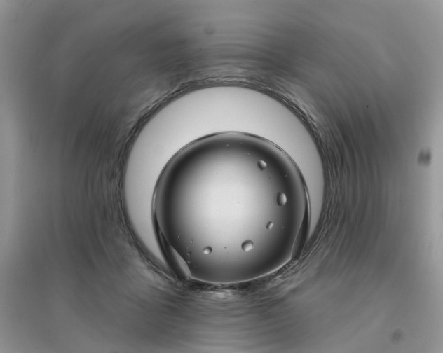 X0000096170411200802011323