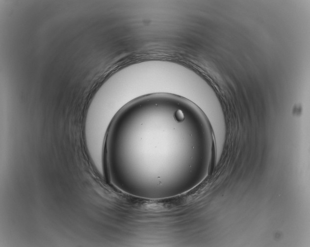 X0000096170413200802011323