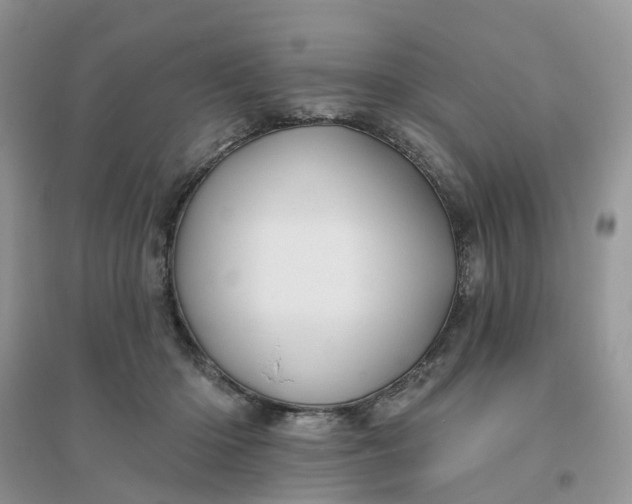 X0000096170414200802011323