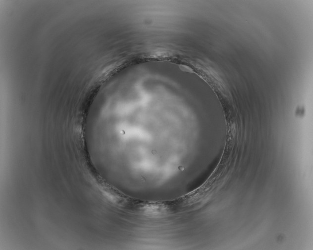 X0000096170415200802011323