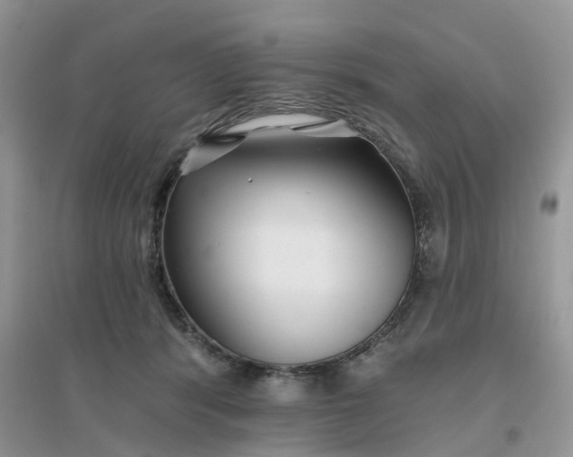 X0000096170416200802011323