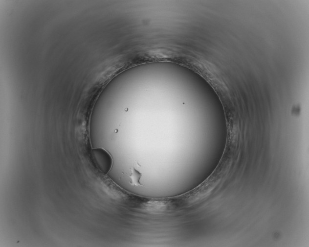 X0000096170418200802011323