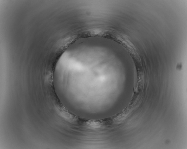 X0000096170419200802011323