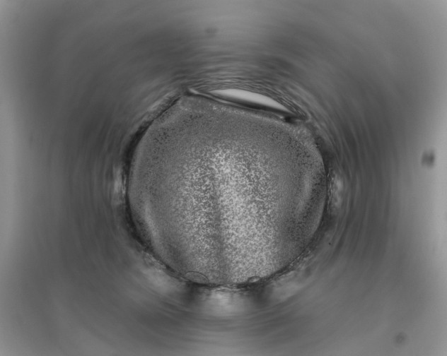 X0000096170420200802011323