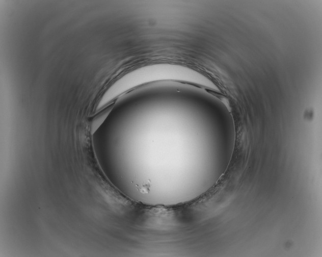 X0000096170421200802011323