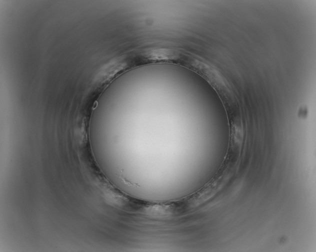 X0000096170422200802011323