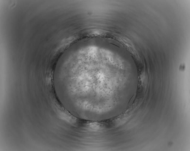 X0000096170423200802011323