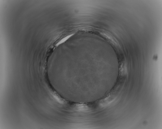 X0000096170424200802011323