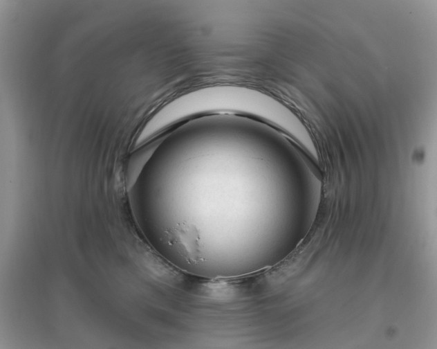 X0000096170425200802011323