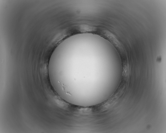 X0000096170426200802011323