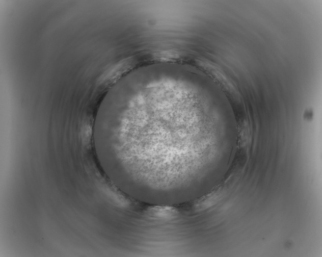 X0000096170427200802011323