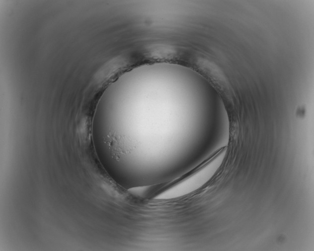 X0000096170428200802011323