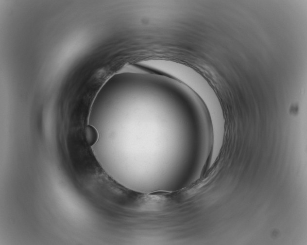 X0000096170429200802011323