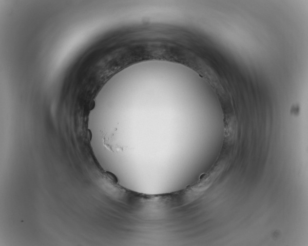 X0000096170430200802011323