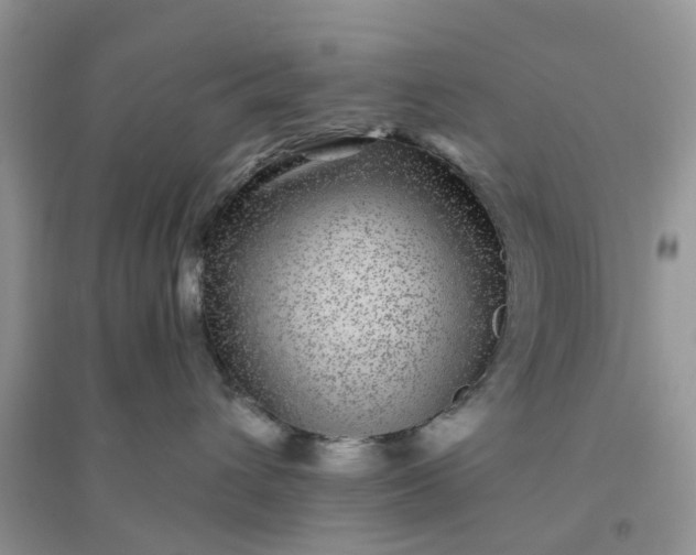 X0000096170432200802011323